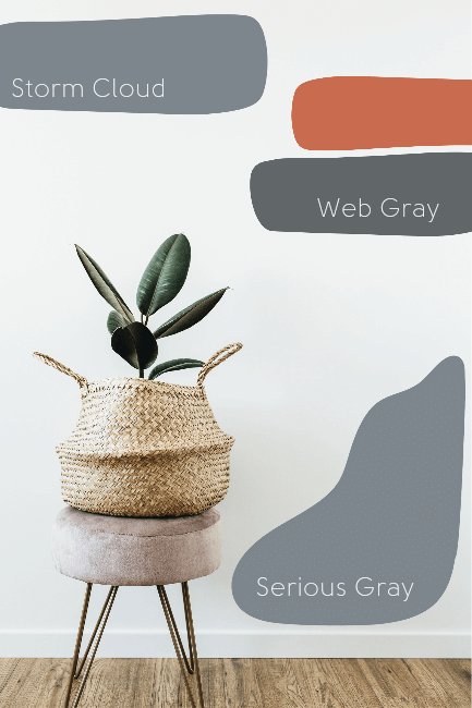 Abstract shapes of paint colors over a background picture of a white wall and a plant in a woven basket on a concrete stool. Colors are Storm Cloud, Web Gray, and serious gray.