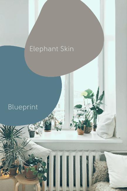 Behr's Blueprint with the color elephant skin over a modern bedroom picture with plants in it.
