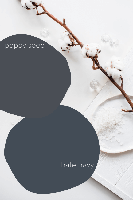 Hale Navy vs it's Behr equivalent Poppy Seed, over a white background of cotton and sea salt.