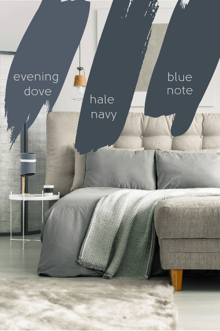 Swipes of Evening Dove, Hale Navy, and Blue note, over a picture of a white living room with grey accents.