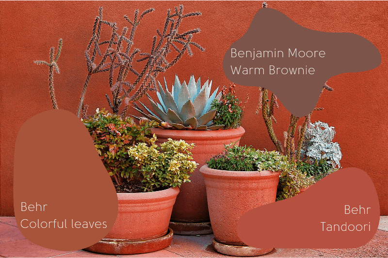 The best dark terracotta paint colors. A collection of terracotta pots against a very rich red terracotta stucco wall. Paint swatches in foreground read "Benjamin Moore Warm Brownie" "Behr Colorful Leaves" and "Behr Tandoori"