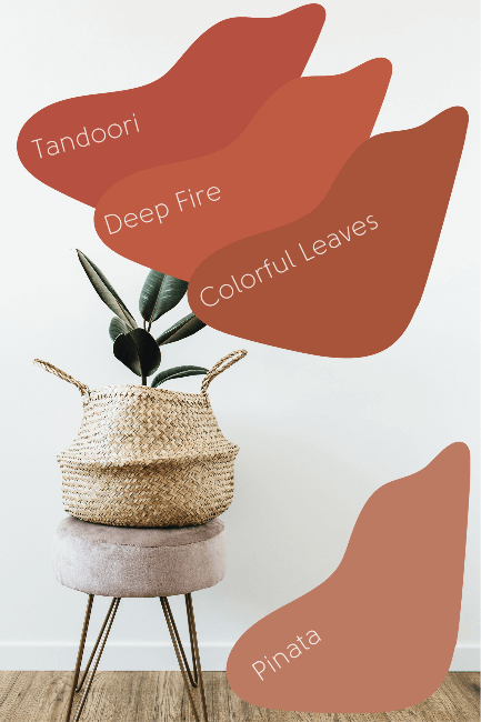 Terracotta swatches in abstract shapes over a background of a white room with a plant on a stand. Swatches are lavelled Tandoori, Deep Fire, Colorful Leaves, and Pinata.