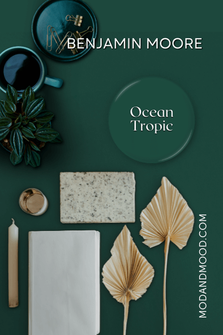 Swatch of Ocean Tropic over the background of the same color and decor items in a collage over top