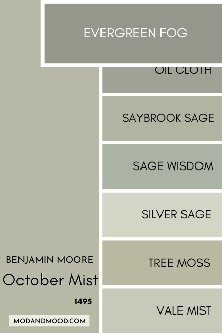 Benjamin Moore October Mist swatched beside similar colors, with a large swatch of Evergreen Fog over the others.