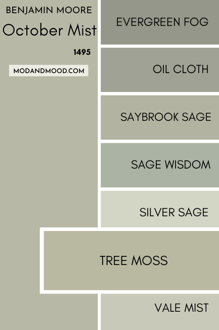 Benjamin Moore October Mist swatched beside similar colors, with a large swatch of Tree Moss over the others.