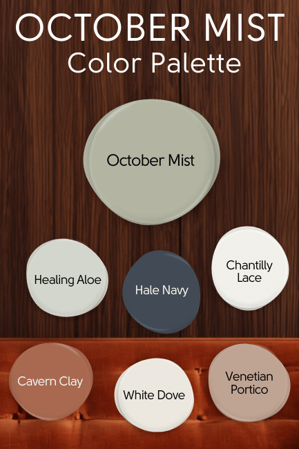 October mist color Palette of 6 colors that go well with the sagey green. Top 3 are Healing Aloe, Hale Navy, and Chantilly Lace. Second row is cavern clay, white dove, venetian portico.