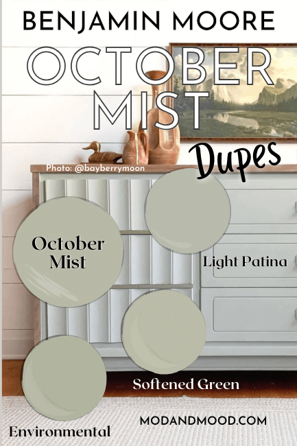 Swatches of Benjamin Moore October Mist alongside dupes: Environmental, Softened Green, and Light Patina.