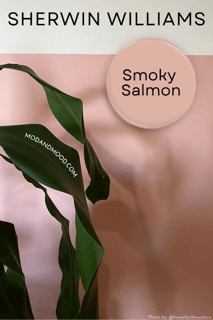 Swatch of Smoky Salmon over a photo of the color on the lower part of a wall and white on the top.