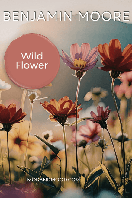 Swatch of Benjamin Moore Wild Flower over a photo of pink and red wild flowers.