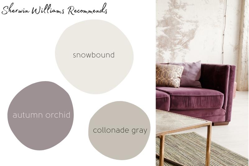 Sherwin Williams recommended coordinating colors for Snowbound in colored circles beside a graphic of a white living room with peeling plaster walls and a mauve couch. Colors are Collonade Gray and Autumn Orchid.