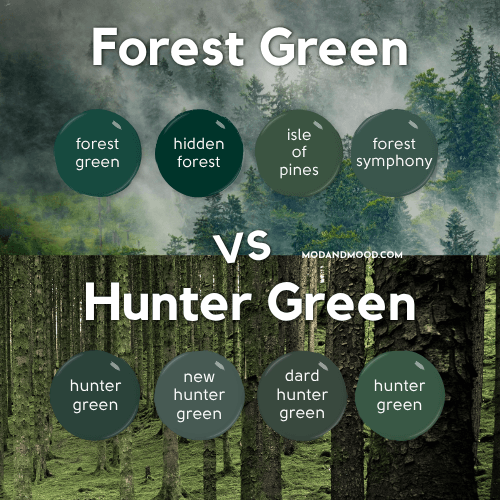 Graphic reads Forest vs Hunter Green over a background header photo that is half forest and half moss, with 8 dots of paint colors, one for every color covered in this article, all forest or Hunter green.