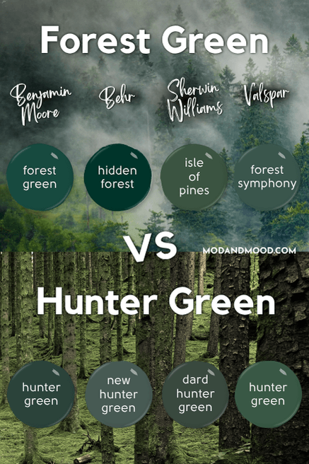 Graphic reads Forest vs Hunter Green over a background header photo that is half forest and half moss, with 8 dots of paint colors, one for every color covered in this article, all forest or Hunter green.