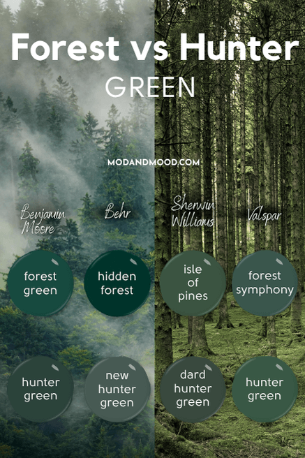Pinterest graphic reads Forest vs Hunter Green over a background header photo that is half forest and half moss, above 8 dots of paint colors, one for every color covered in this article, all forest or Hunter green.