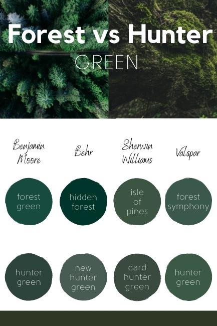 Pinterest graphic reads Forest vs Hunter Green over a background header photo that is half forest and half moss, above 8 dots of paint colors, one for every color covered in this article, all forest or Hunter green.