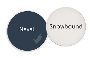 Paint dot of Naval beside a paint dot of Snowbound