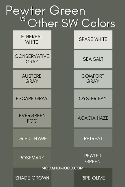 Pewter Green vs Rosemary, Shade Grown, Ripe Olive, Dried Thyme, Retreat, Evergreen Fog, and Acacia Haze