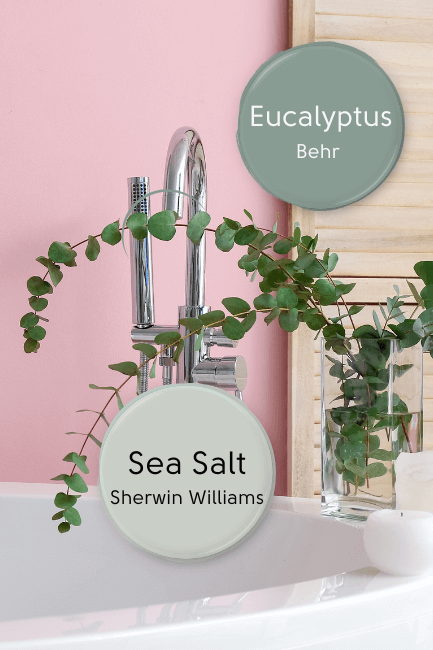 eucalyptus by Behr and sea salt by sherwin williams over a photo of a pink bathroom with a white bathtub and a vase of eucalyptus