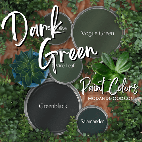5 dark green paint colors on paint can lids on a terracotta background with two potted plants. Colors from top to bottom are: Vogue Green, Ripe Olive, Vine Leaf, Greenblack, and salamander.