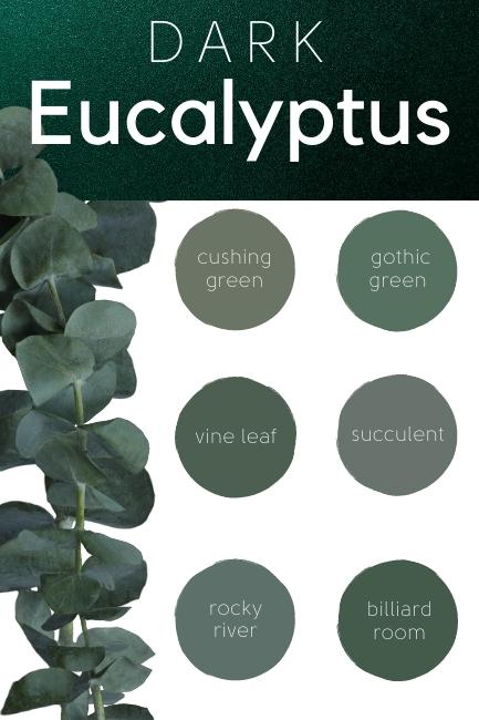 A graphic showing darker toned Eucalyptus colors. Colors are cushing green, gothic green, vine leaf, succulent, rocky river, and billiard green