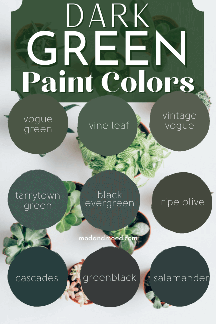Graphic of 9 green circles reads "Dark Green Paint Colors" From top left to bottom right colors are: vogue green, vine leaf, vintage vogue, tarrytown green, black evergreen, ripe olive, cascades, greenblack, and salamander. Background photo is a white table with little potted succulents
