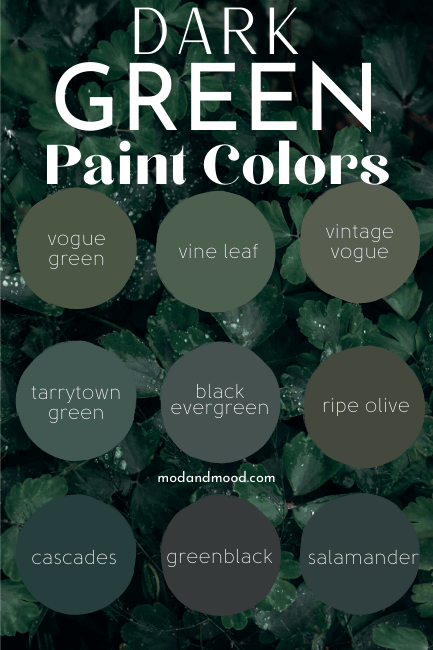 Graphic of 9 green circles reads "Dark Green Paint Colors" From top left to bottom right colors are: vogue green, vine leaf, vintage vogue, tarrytown green, black evergreen, ripe olive, cascades, greenblack, and salamander. Background photo is dark green dewy leaves