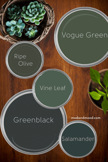5 dark green paint colors on paint can lids on a wooden background with two potted plants. Colors from top to bottom are: Vogue Green, Ripe Olive, Vine Leaf, Greenblack, and salamander.