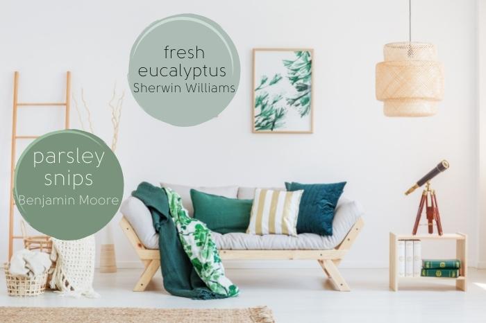Sherwin williams fresh eucalyptus and Benjamin Moore's Parsley snips over a background of a white living room with natural wood and green accents