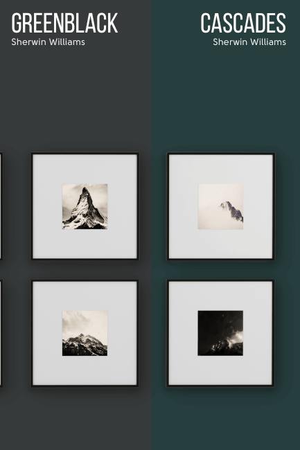 Greenblack on half of a wall and Cascades on the other half behind black and white gallery prints.