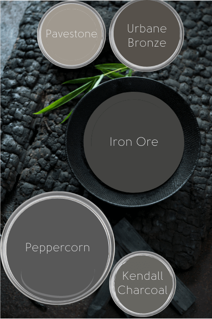 Iron Ore and Peppercorn on paint lids in a palette with pavestone, urbane bronze, and kendall charcoal.