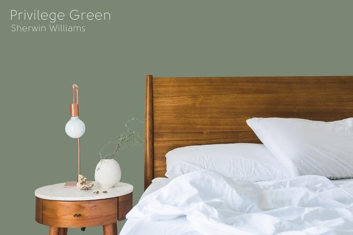 Sherwin Williams Privilege Green on a bedroom wall behind a wooden headboard and side table.