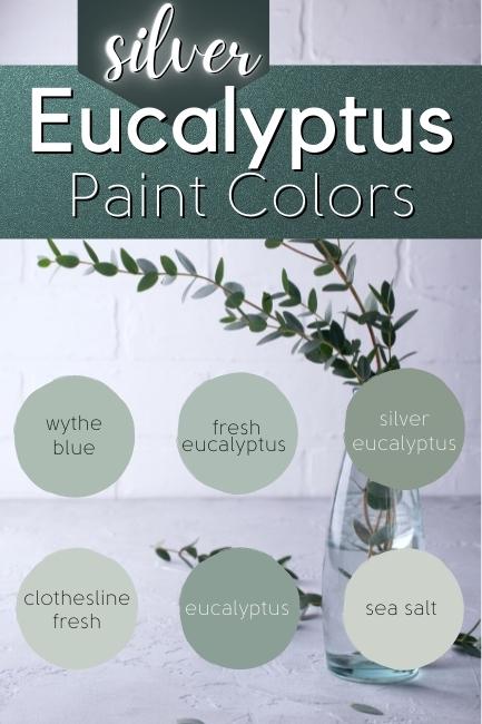 graphic reads "Silver eucalyptus paint colors" over six pale eucalyptus green dots. Colors from top left to bottom right are wythe blue, fresh eucalyptus, silver eucalyptus, eucalyptus, eucalyptus, and sea salt.
