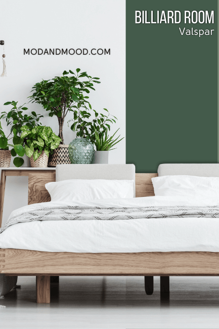 Valspar Billiard Room on half of a wall in a bedroom with white on the other half. A wooden bed with white bedding sits in front of the wall as well as plants and a cream hanging macrame swing.
