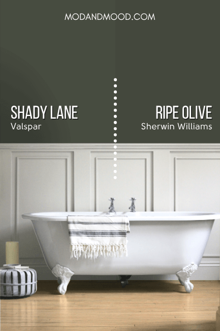 Sherwin Williams Ripe Olive vs Valspar Shady Lane on a bathroom wall behind a clawfoot tub and off white wainscoting