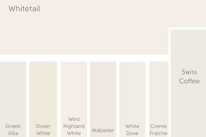 Sherwin Williams Whitetail vs a number of other whites including swiss coffee on a color card