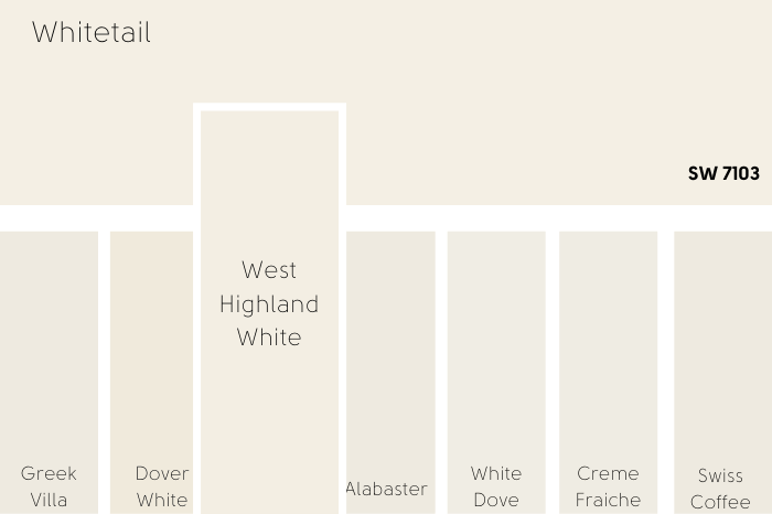 Sherwin Williams Whitetail vs a number of other whites including westhighland white on a color card