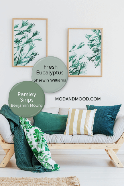 Sherwin williams fresh eucalyptus and Benjamin Moore's Parsley snips over a background of a white living room with natural wood and green accents