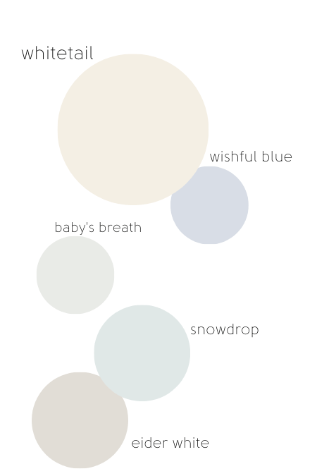 Whitetail with other circles of pastel paint colors including: wishful blue, baby's breath, snowdrop, and eider white.