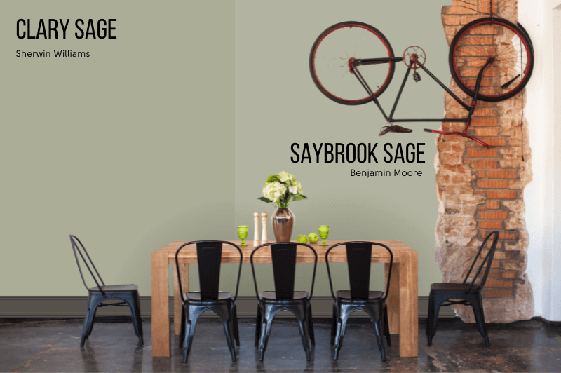Clary Sage vs Saybrook Sage on wall