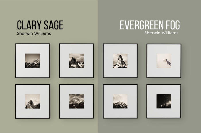Sherwin Williams Clary Sage on half of a wall compared to Evergreen Fog on the other half of the wall behind a gallery of black and white photos