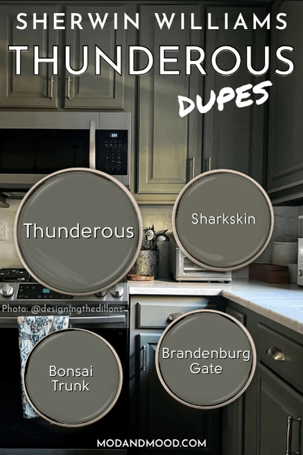 Sherwin Williams Thunderous swatched amongst dupes from other brands: Bonsai Trunk, Sharkskin, and Brandenburg Gate.