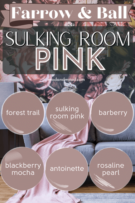 All the best Sulking Room Pink Dupes as discussed in article