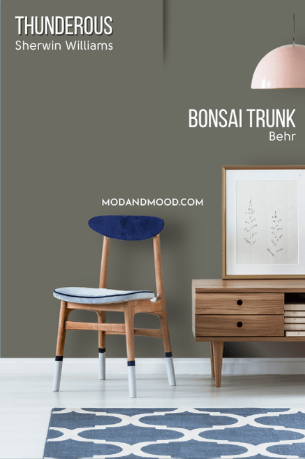 Sherwin williams Thunderous compared on a wall against Behr dupe Bonsai trunk.