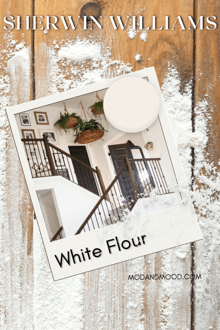 Sherwin williams white flour swatched over a polaroid of the color on a wood counter with flour