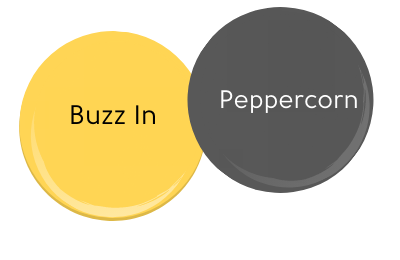 Color sample Buzz In with Peppercorn