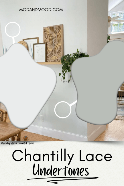 Chantilly Lace on a wall where it has green undertones on the lower half and looks true white on the top half.