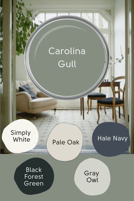 Carolina Gull on paint lid over a picture of a bright sitting room with five coordinating colors from the article