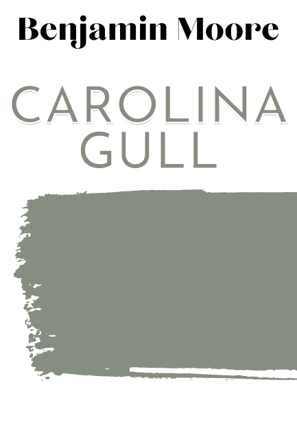 Paintbrush swipe of Carolina Gull 
