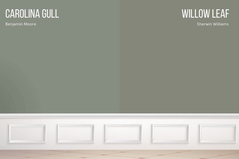 Sherwin Williams willowleaf vs carolina gull on the wall