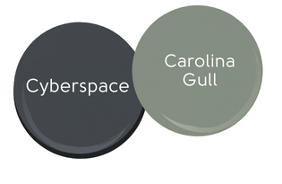 Dot of Cyberspace with a dot of Carolina Gull
