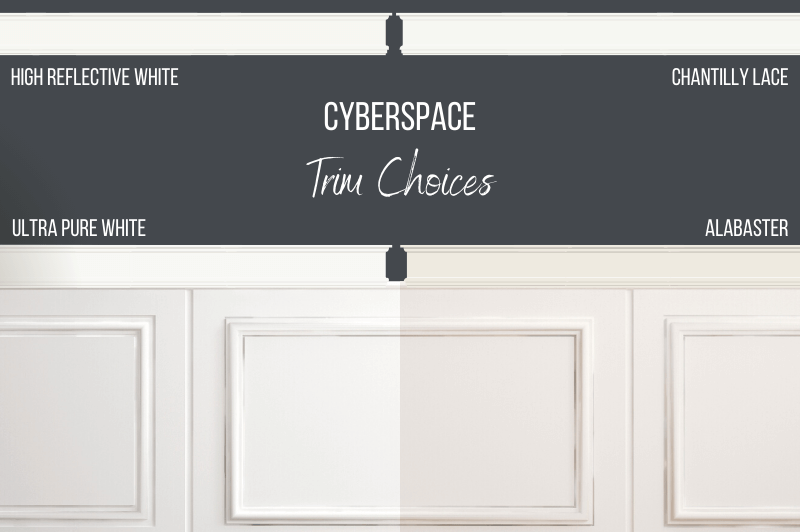 Cyberspace on a wall demonstrating trim choices as outlined in the article.